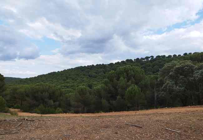 Cartel BiossFera Terra